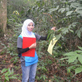 Kursus Pengecaman Pokok & Daun 2016 (43)