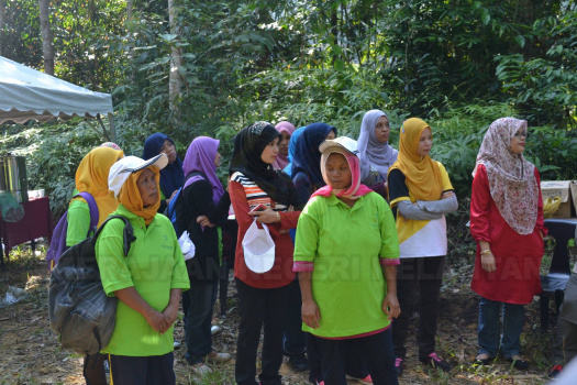 Demonstrasi Dan Aktiviti Mencari Anak Benih Pokok Hutan Liar Di Kawasan Tanah Tingggi Lojing (3)