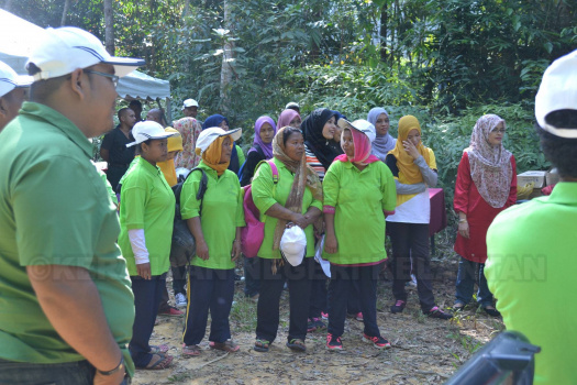 Demonstrasi Dan Aktiviti Mencari Anak Benih Pokok Hutan Liar Di Kawasan Tanah Tingggi Lojing (2)
