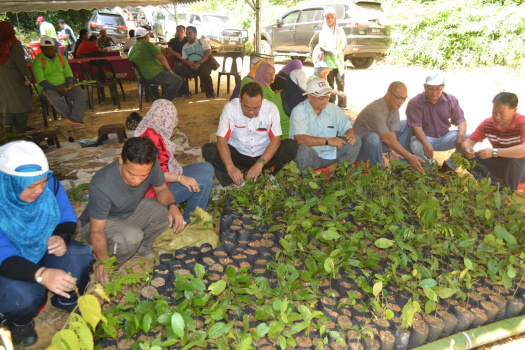 Demonstrasi Dan Aktiviti Mencari Anak Benih Pokok Hutan Liar Di Kawasan Tanah Tingggi Lojing (8)