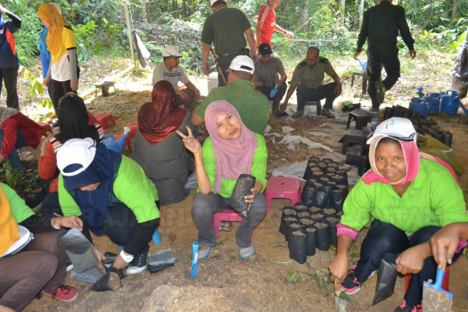 Demonstrasi Dan Aktiviti Mencari Anak Benih Pokok Hutan Liar Di Kawasan Tanah Tingggi Lojing (10)