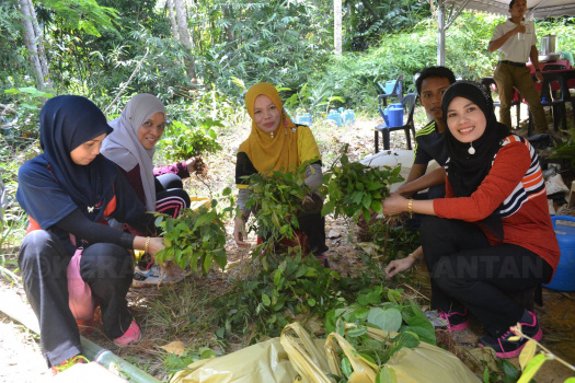 Demonstrasi Dan Aktiviti Mencari Anak Benih Pokok Hutan Liar Di Kawasan Tanah Tingggi Lojing (7)