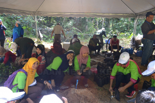 Demonstrasi Dan Aktiviti Mencari Anak Benih Pokok Hutan Liar Di Kawasan Tanah Tingggi Lojing (11)