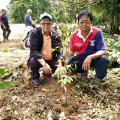 Penanaman Pokok Sempena Gotong - Royong Kelab Rukun Tetangga (2)
