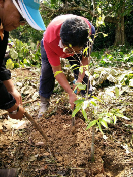 Penanaman Pokok Sempena Gotong - Royong Kelab Rukun Tetangga (3)