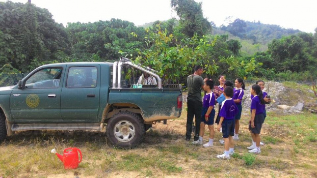 Penanaman Anak Pokok Oleh Pelajar SRJK (C) Pulai Sempena Hari Hutan Antarabangsa Ke-45 Di Gua Musang (2)