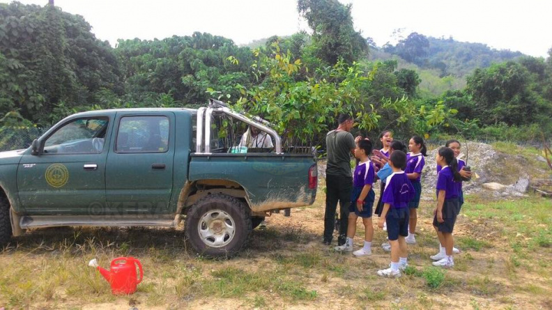 Penanaman Anak Pokok Oleh Pelajar SRJK (C) Pulai Sempena Hari Hutan Antarabangsa Ke-45 Di Gua Musang (2) - Penanaman Anak Pokok Oleh Pelajar SRJK (C) Pulai Sempena Hari Hutan Antarabangsa Ke-45 Di Gua Musang (2).jpg Penanaman Anak Pokok Oleh Pelajar SRJK (C) Pulai Sempena Hari Hutan Antarabangsa Ke-45 Di Gua Musang (2).jpg