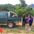 Penanaman Anak Pokok Oleh Pelajar SRJK (C) Pulai Sempena Hari Hutan Antarabangsa Ke-45 Di Gua Musang (2)
