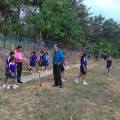 Penanaman Anak Pokok Oleh Pelajar SRJK (C) Pulai Sempena Hari Hutan Antarabangsa Ke-45 Di Gua Musang
