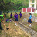 Penanaman Anak Pokok Oleh Pelajar SRJK (C) Pulai Sempena Hari Hutan Antarabangsa Ke-45 Di Gua Musang (4)