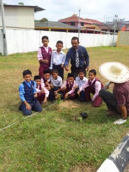 Penanaman Anak Pokok Oleh Pelajar Sekolah Di SK Gua Musang (2)
