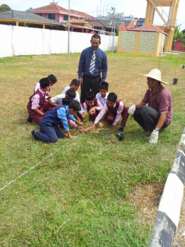 Penanaman Anak Pokok Oleh Pelajar Sekolah Di SK Gua Musang