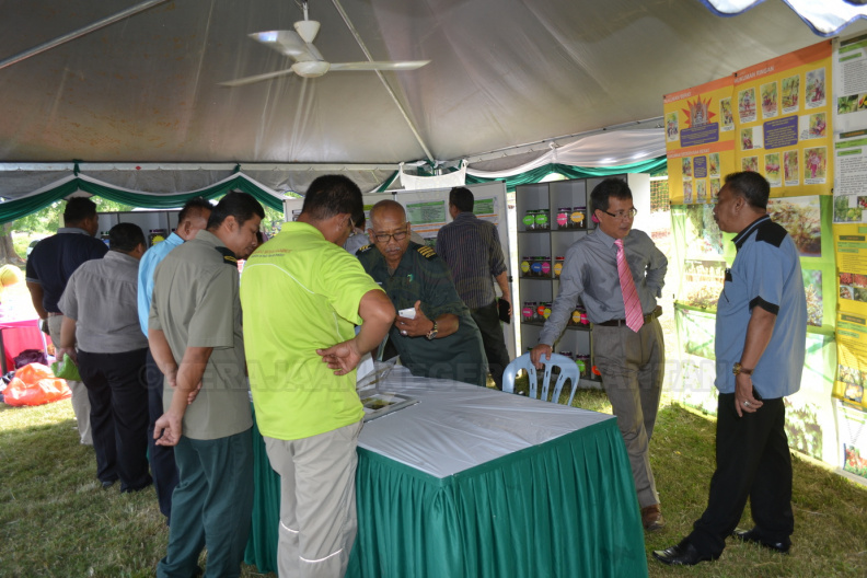 Program Hari Hutan Antarabangsa Ke-45 Peringkat PHJKS (70) - Program Hari Hutan Antarabangsa Ke-45 Peringkat PHJKS (70).JPG Program Hari Hutan Antarabangsa Ke-45 Peringkat PHJKS (70).JPG