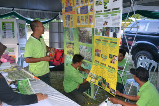 Program Hari Hutan Antarabangsa Ke-45 Peringkat PHJKS