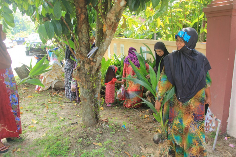 PENERIMA INPUT PERTANIAN MENGAMBIL BANTUAN SEPOHON POKOK KELAPA WANGI
DI PROGRAM DO BERSAMA MASYARAKAT DAERAH BUNUT SUSU PADA 23 JUN 2016
TELAH DIADAKAN DI MASJID BUNUT SUSU
PADA 23 JUN 2015 BERMULA JAM 8:30 PG IMG_5353.JPG