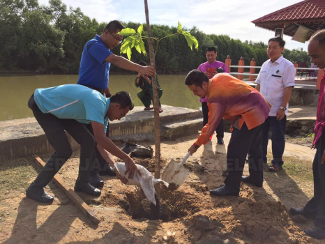 Program Penghijauan Dan Pengindahan Bandar Tumpat