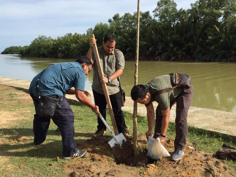 Program Penghijauan Dan Pengindahan Bandar Tumpat (3) - Program Penghijauan Dan Pengindahan Bandar Tumpat (3).jpg Program Penghijauan Dan Pengindahan Bandar Tumpat (3).jpg