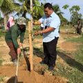 Program Penghijauan Dan Pengindahan Bandar Tumpat (2)