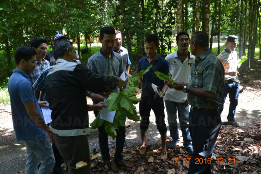 Kursus Kerja-Kerja Pembangunan Dan Operasi Hutan Kepada Pihak Swasta (13)