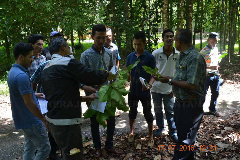 Kursus Kerja-Kerja Pembangunan Dan Operasi Hutan Kepada Pihak Swasta (13) - Kursus Kerja-Kerja Pembangunan Dan Operasi Hutan Kepada Pihak Swasta (13).JPG Kursus Kerja-Kerja Pembangunan Dan Operasi Hutan Kepada Pihak Swasta (13).JPG