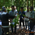 Kursus Kerja-Kerja Pembangunan Dan Operasi Hutan Kepada Pihak Swasta (13)