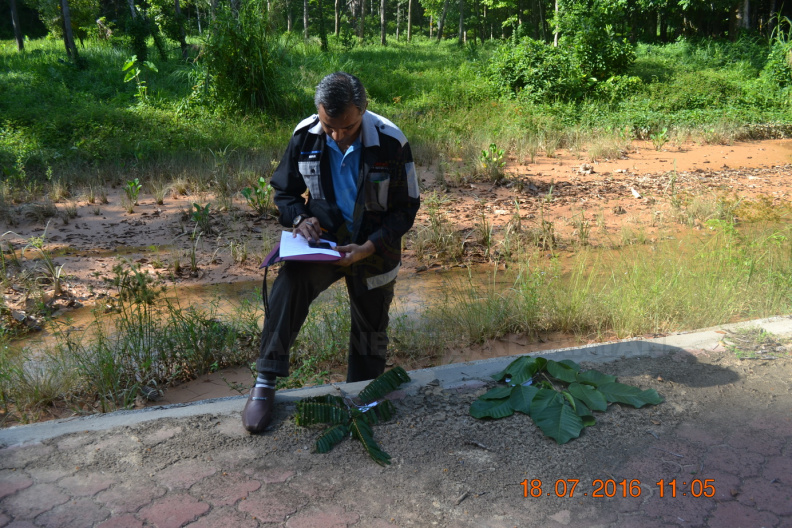 Kursus Kerja-Kerja Pembangunan Dan Operasi Hutan Kepada Pihak Swasta (20) - Kursus Kerja-Kerja Pembangunan Dan Operasi Hutan Kepada Pihak Swasta (20).JPG Kursus Kerja-Kerja Pembangunan Dan Operasi Hutan Kepada Pihak Swasta (20).JPG