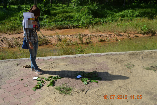 Kursus Kerja-Kerja Pembangunan Dan Operasi Hutan Kepada Pihak Swasta (21)