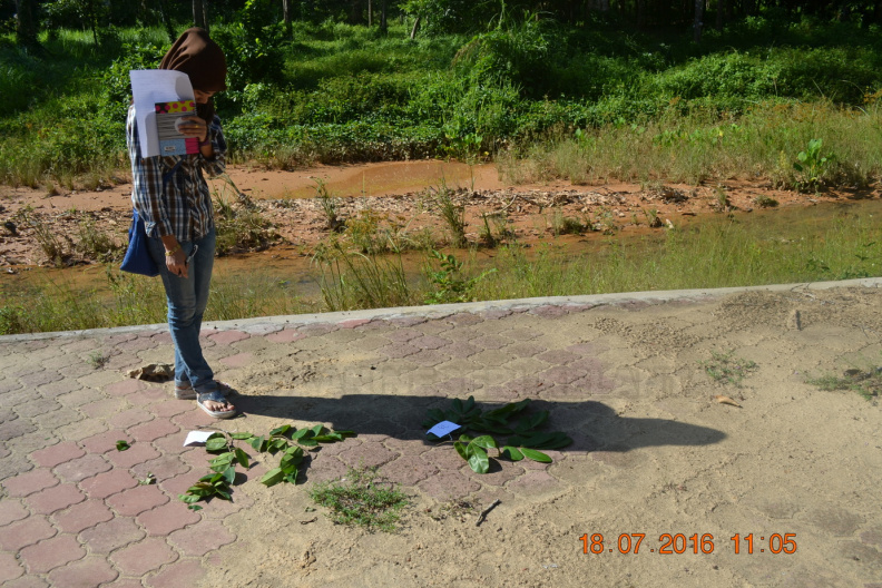 Kursus Kerja-Kerja Pembangunan Dan Operasi Hutan Kepada Pihak Swasta (21) - Kursus Kerja-Kerja Pembangunan Dan Operasi Hutan Kepada Pihak Swasta (21).JPG Kursus Kerja-Kerja Pembangunan Dan Operasi Hutan Kepada Pihak Swasta (21).JPG