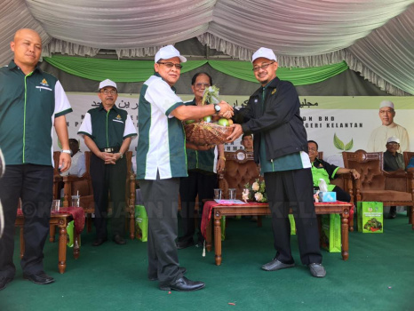 Penanaman Pokok di Jedok (3)