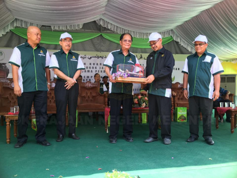 Penanaman Pokok di Jedok (5)