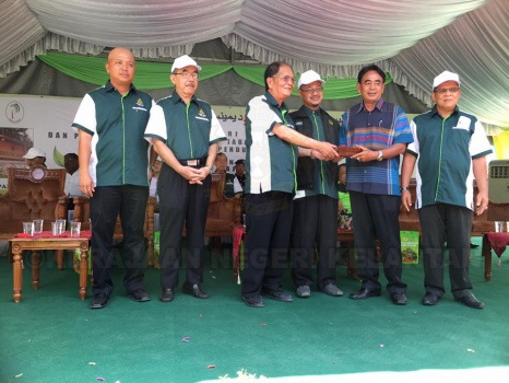 Penanaman Pokok di Jedok (11)
