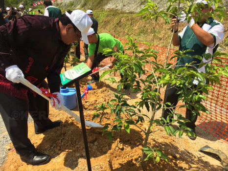 Penanaman Pokok di Jedok (30)