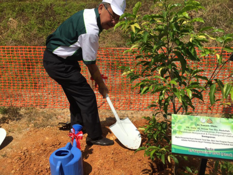 Penanaman Pokok di Jedok (31)