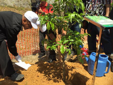 Penanaman Pokok di Jedok (32)