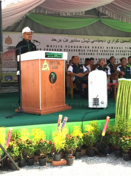 Penanaman Pokok di Jedok