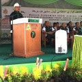 Penanaman Pokok di Jedok