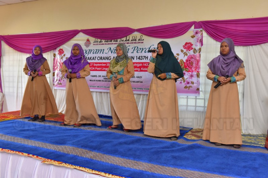 DSC 0233-10-11-2016