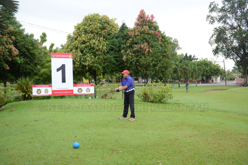 DSC 8762 - DSC_8762.JPG DSC_8762.JPG