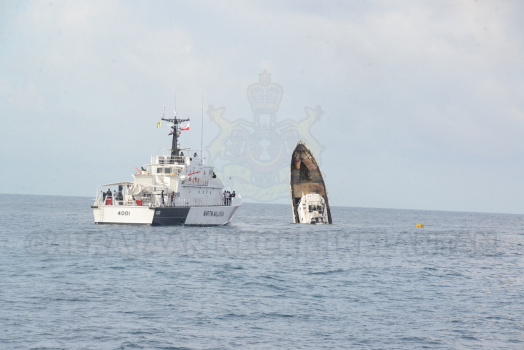 DSC 5841