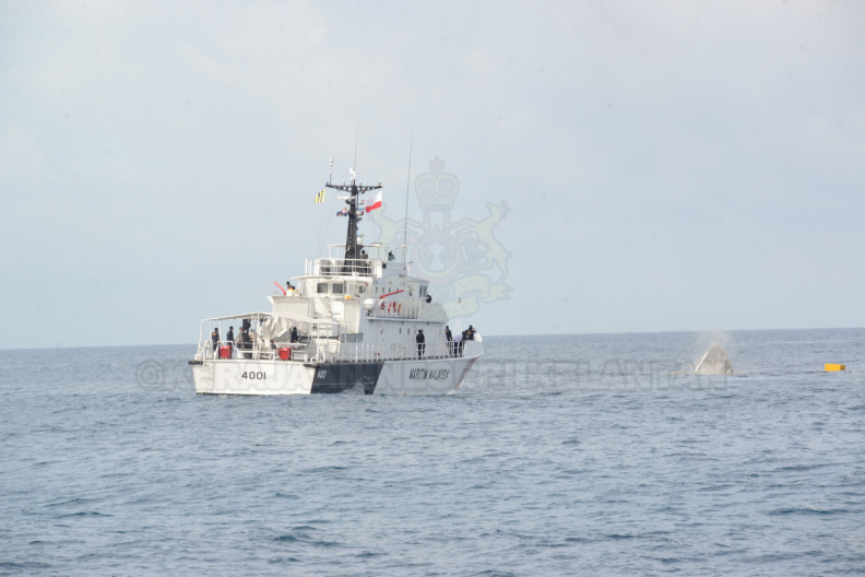 DSC_5864.JPG
