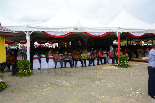 DSC 8530