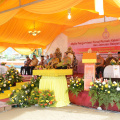 DSC 8533