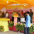DSC 8568