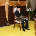 DSC 8819