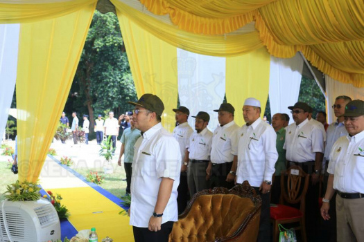 Majlis Penghijauan D'Raja