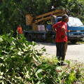 Jom Gotong-royong Zon Alor Pasir dan Kg Bukit 1