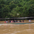 DSC 4507