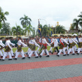 DSC 8294