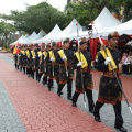 DSC 8337