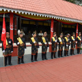 DSC 8342